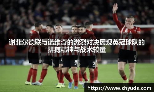 新利体育