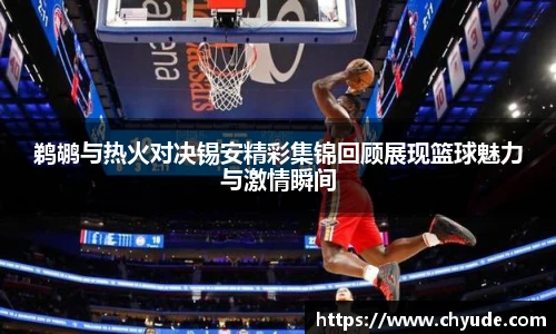 新利体育